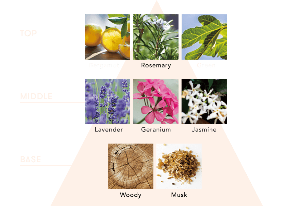 香りの構成
