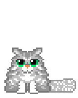 neko