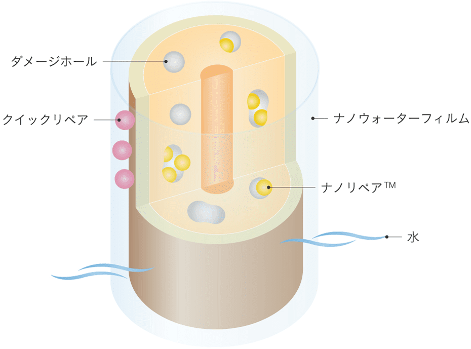 髪の補修イメージ
