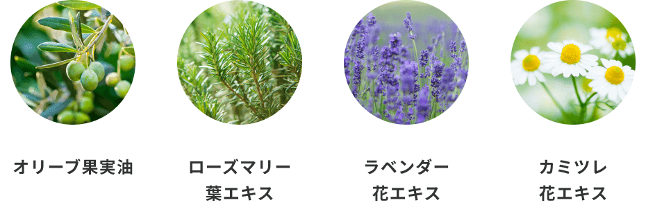 小成分表