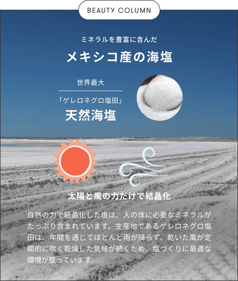 小成分表