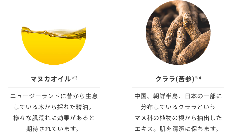 成分表
