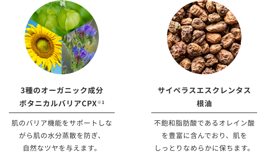 成分表