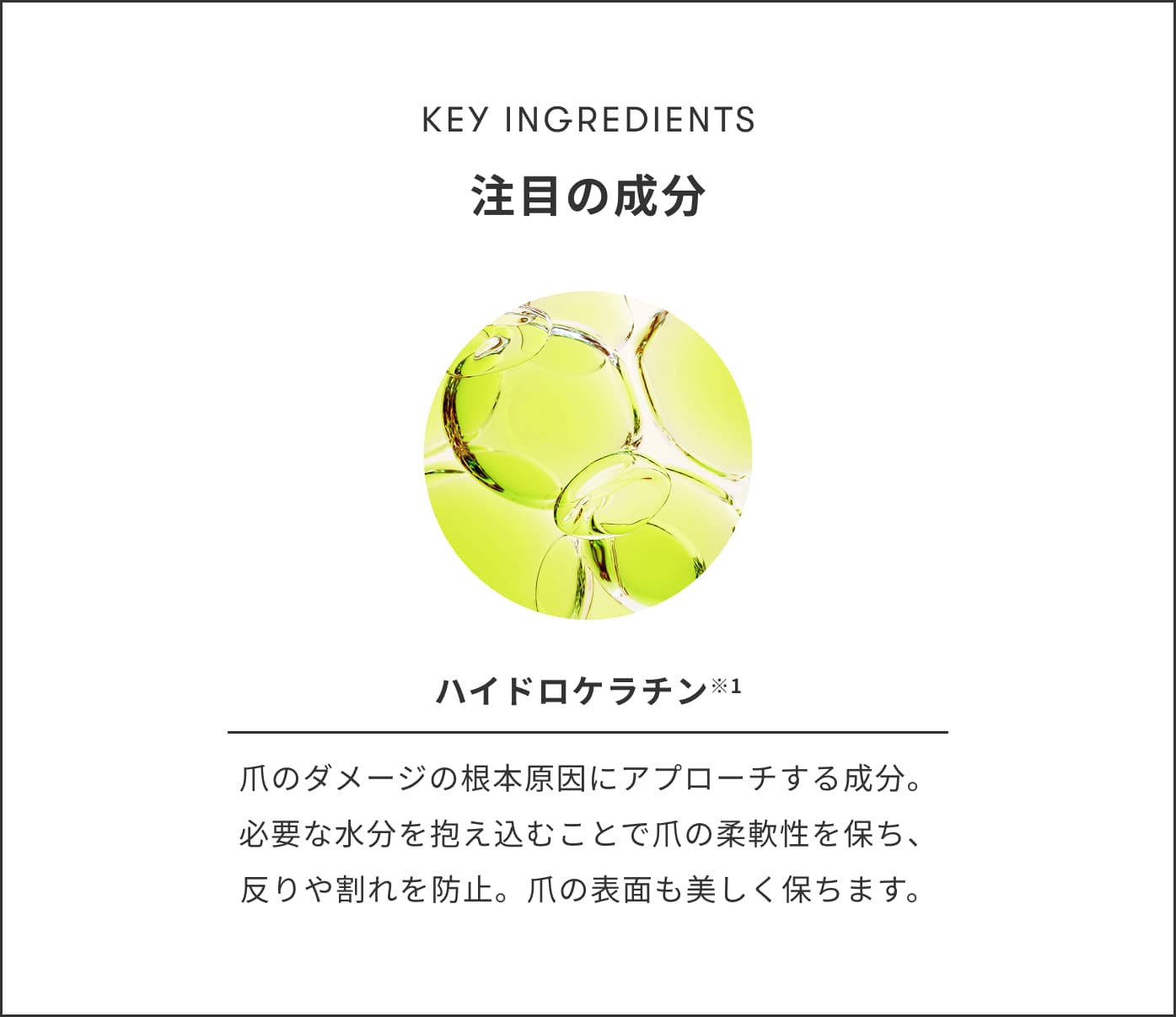 KEY INGREDIENTS