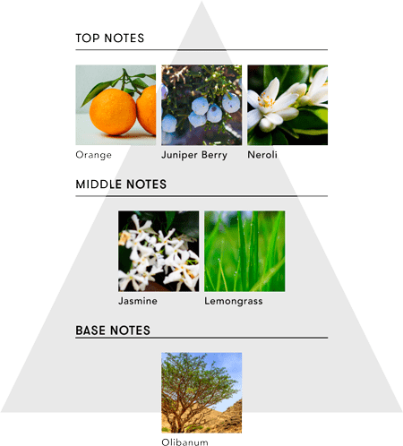 scents_pyramid