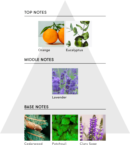 scents_pyramid