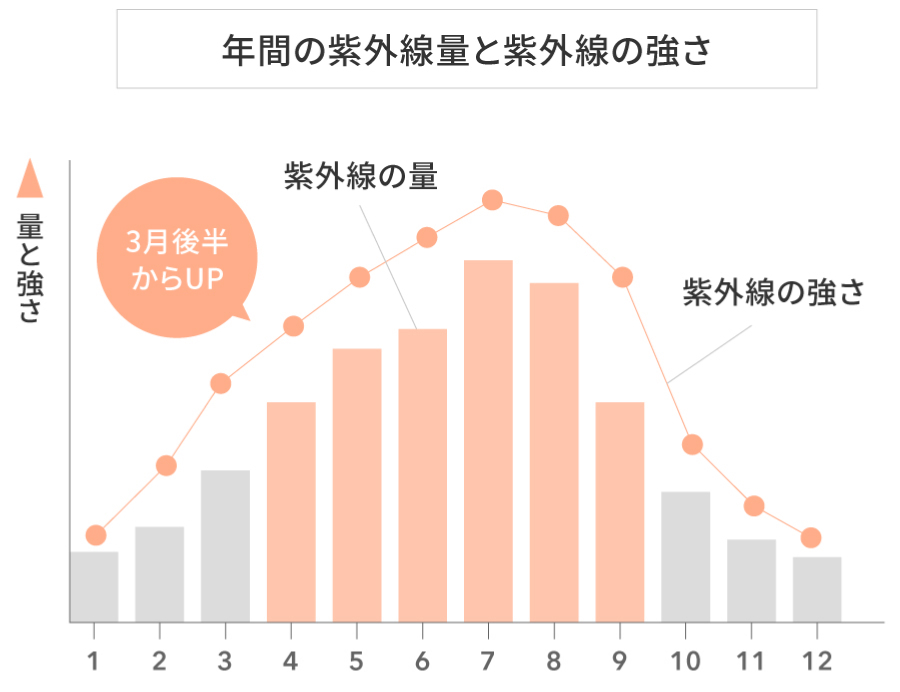 年間の紫外線量と紫外線の強さグラフ